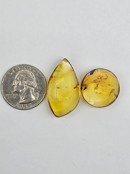 Amber authentic cabochon set large