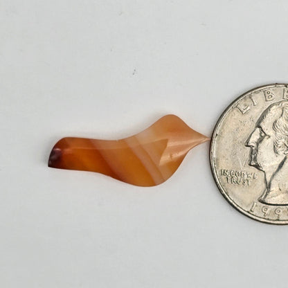 Carnelian Agate Bird Cabochon