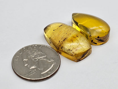 Amber authentic cabochon set large