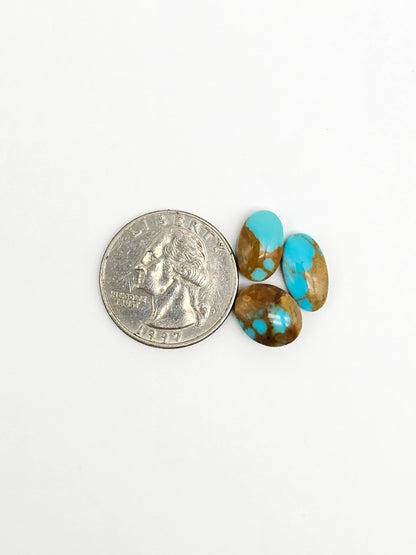 Mexican Turquoise Lot | Artisan Cut Gemstone