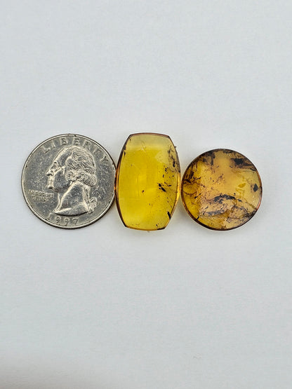 Amber authentic cabochon set large