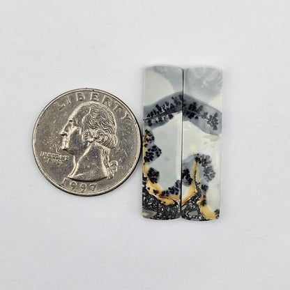 Maligano Jasper cabochon pair