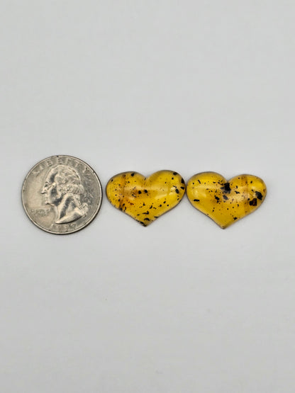 Amber authentic heart cabochon pair large