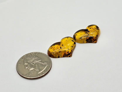 Amber authentic heart cabochon pair large
