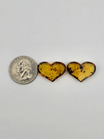 Amber authentic heart cabochon pair large