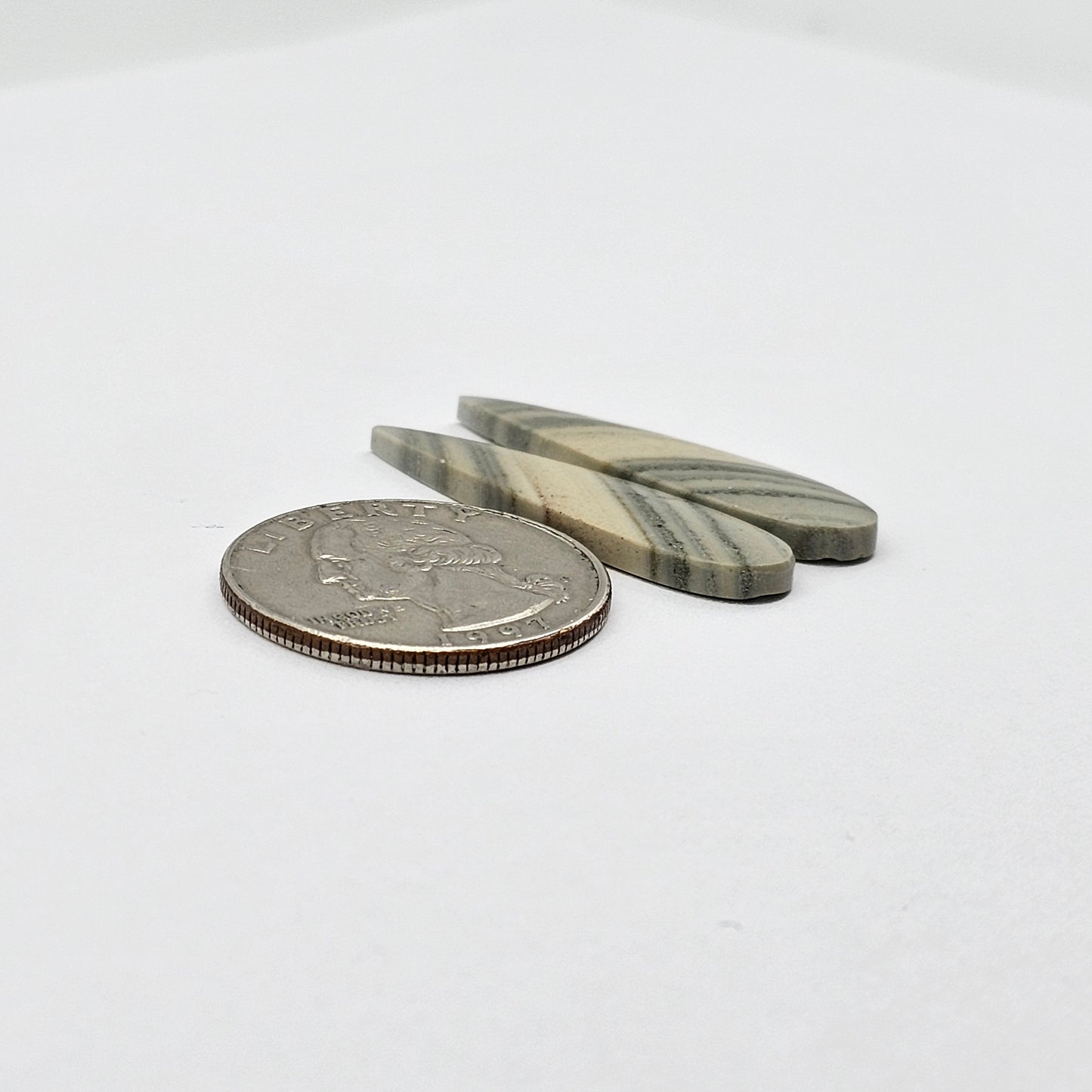 Saturn Jasper cabochon pair