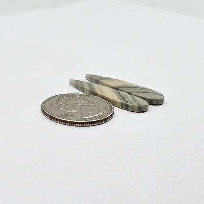 Saturn Jasper cabochon pair