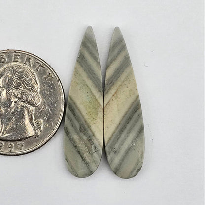 Saturn Jasper cabochon pair