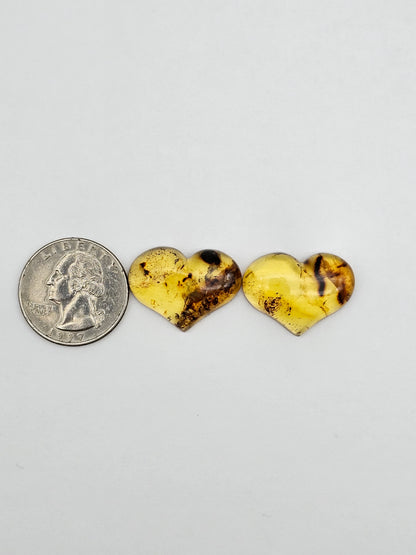 Amber authentic heart cabochon pair large