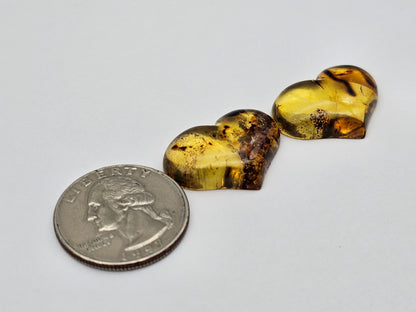 Amber authentic heart cabochon pair large