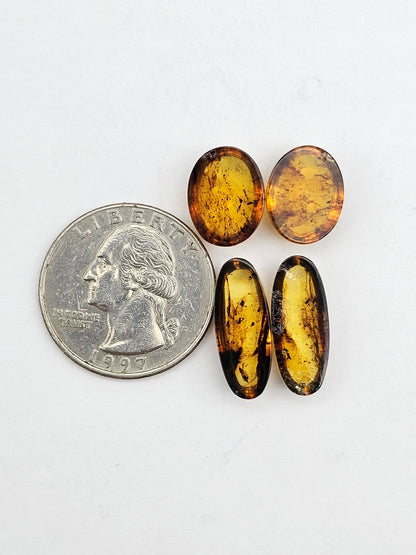Amber authentic cabochon pair lot