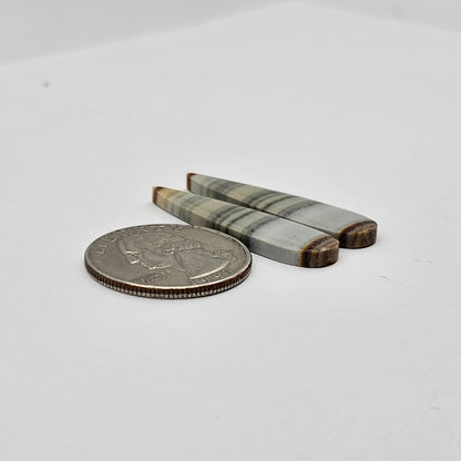 Saturn Jasper cabochon pair