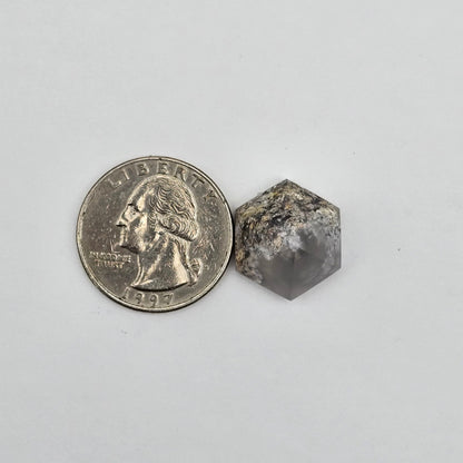 Moss agate high hexagon cabochon