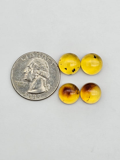 Amber authentic cabochon pair lot