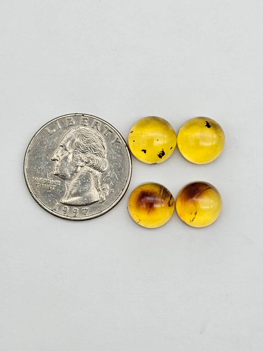 Amber authentic cabochon pair lot