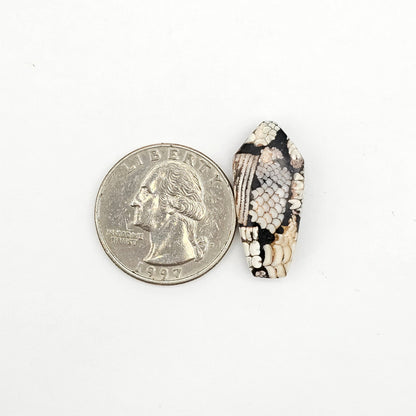 Snake skin agate cabochon