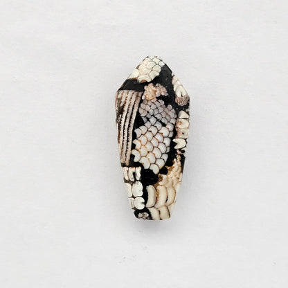 Snake skin agate cabochon