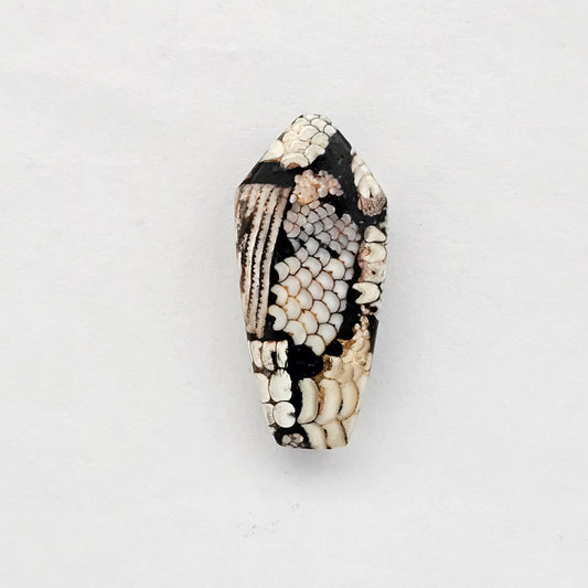 Snake skin agate cabochon