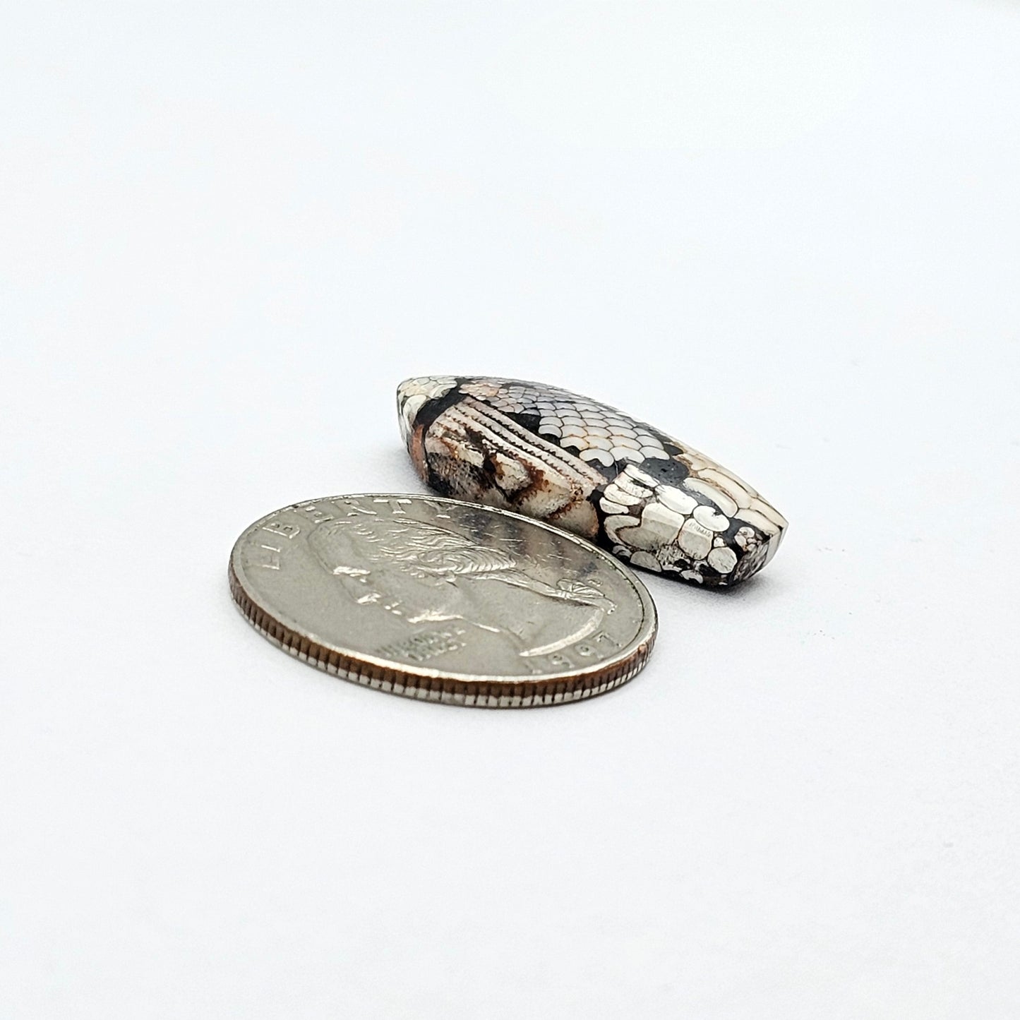 Snake skin agate cabochon