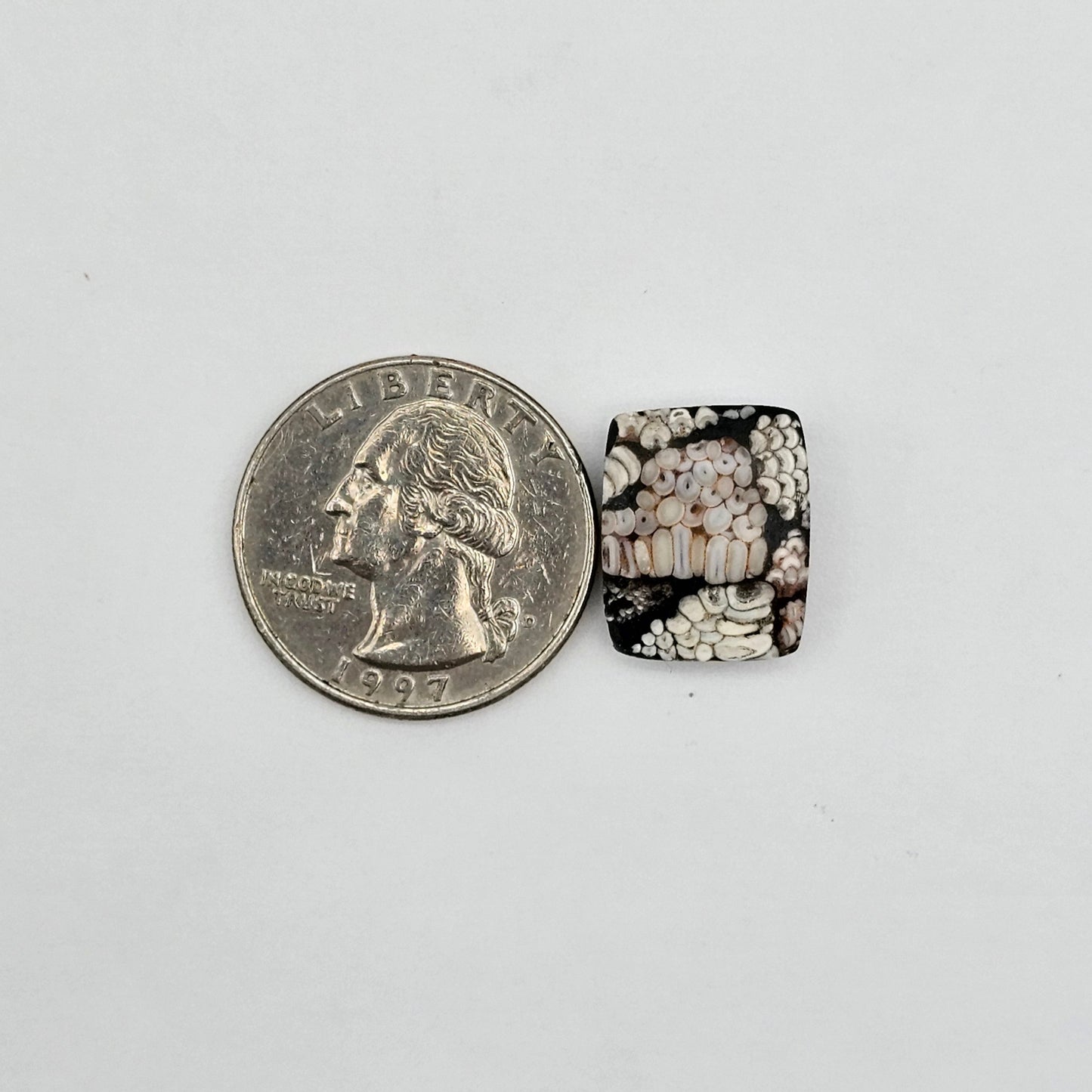 Snake skin agate cabochon large