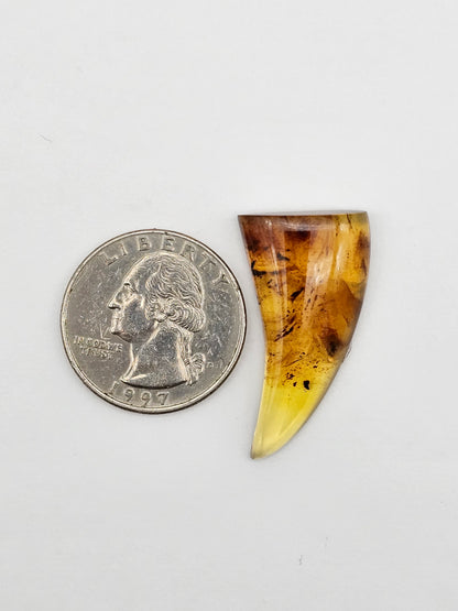 Amber authentic cabochon large