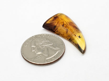 Amber authentic cabochon large