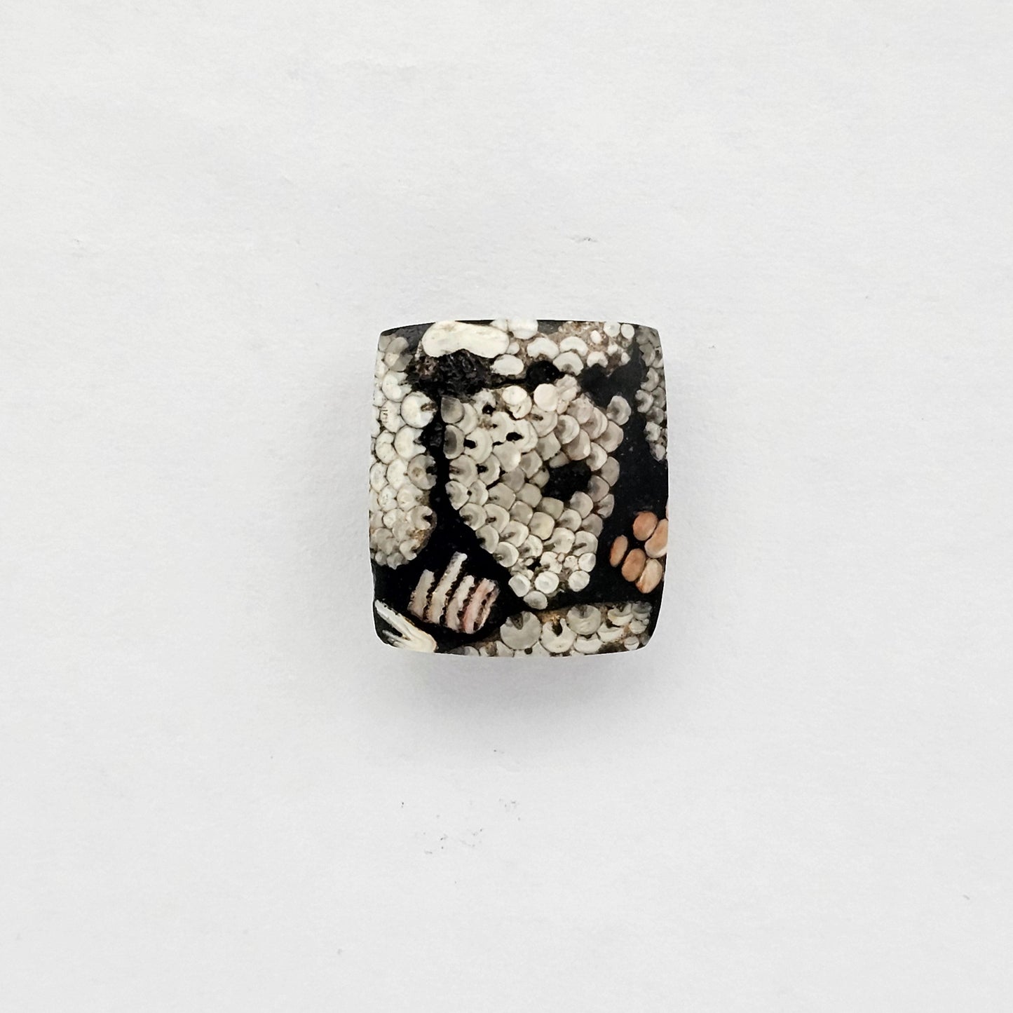 Snake skin agate cabochon