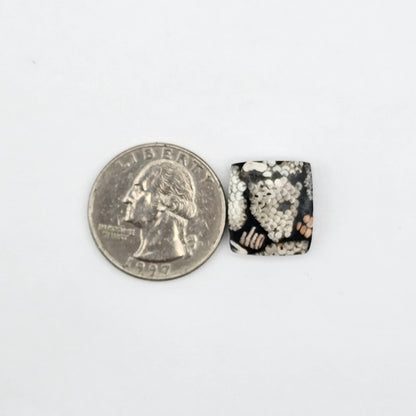 Snake skin agate cabochon