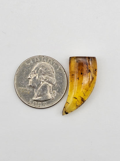 Amber authentic cabochon large