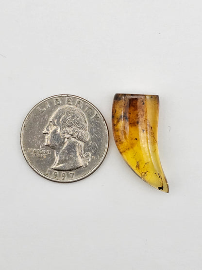 Amber authentic cabochon large