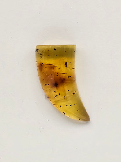 Amber authentic cabochon large