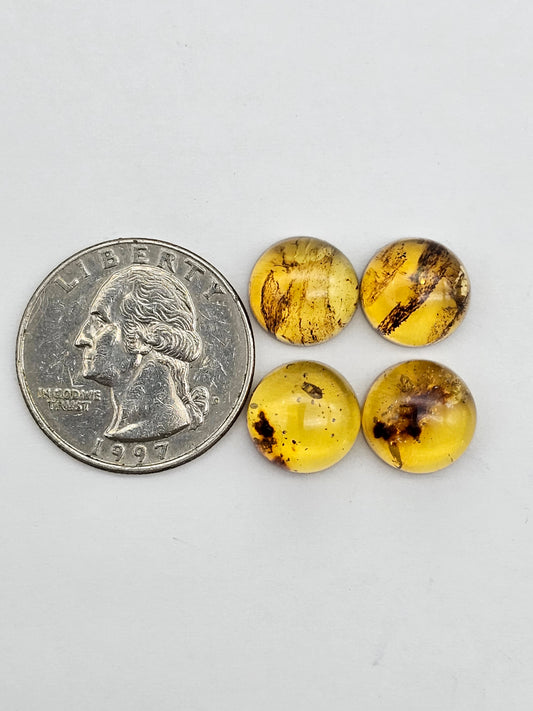 Amber authentic cabochon pair lot