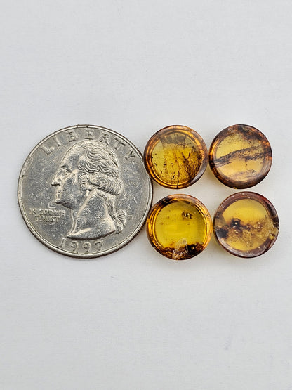 Amber authentic cabochon pair lot