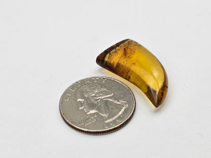 Amber authentic cabochon large