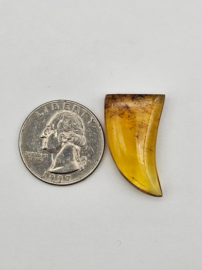 Amber authentic cabochon large