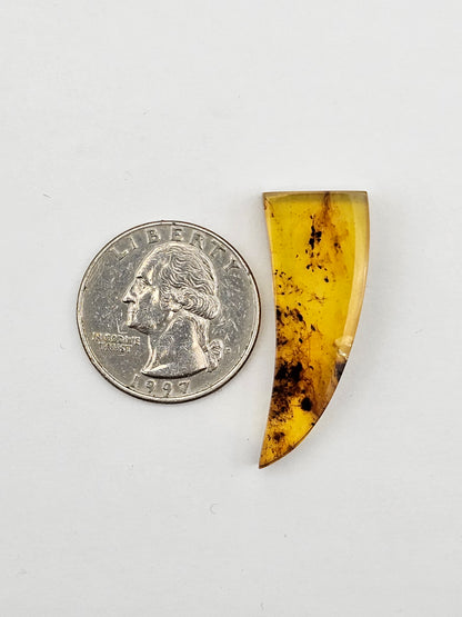 Amber authentic cabochon large