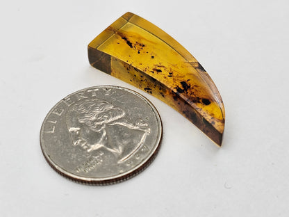 Amber authentic cabochon large