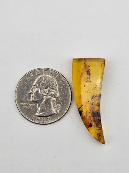 Amber authentic cabochon large