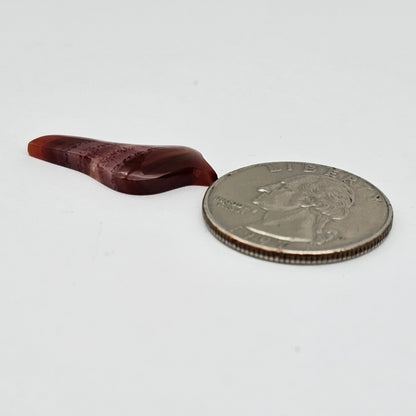 Carnelian Agate Bird Cabochon