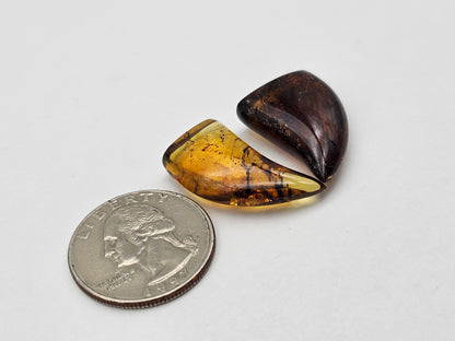 Amber authentic cabochon set large