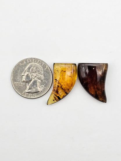 Amber authentic cabochon set large