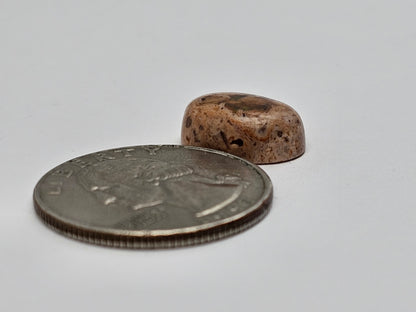 Mexican Cantera Opal Cabochon