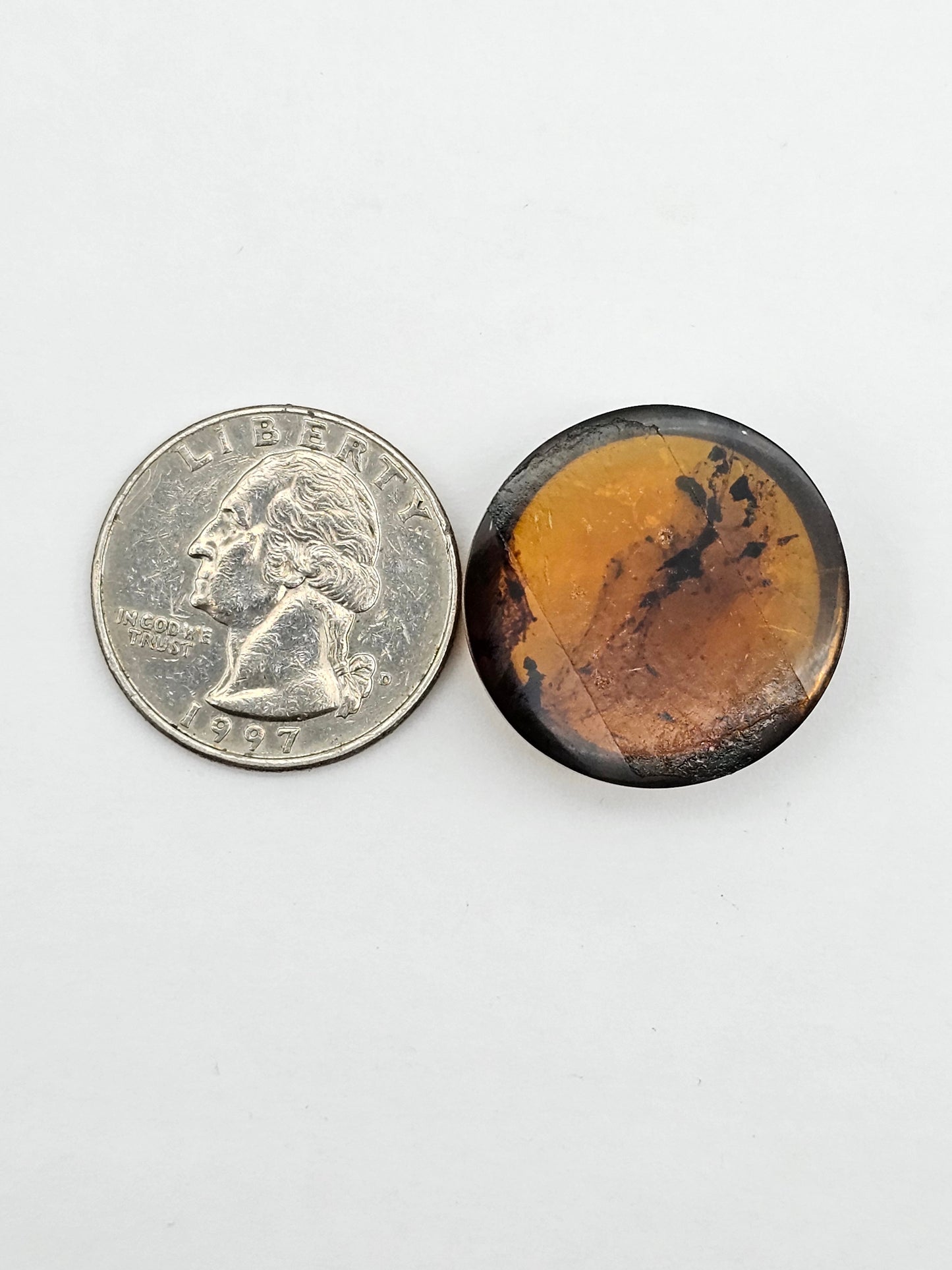 Amber authentic cabochon large