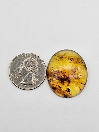Amber authentic cabochon large