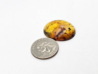 Amber authentic cabochon large