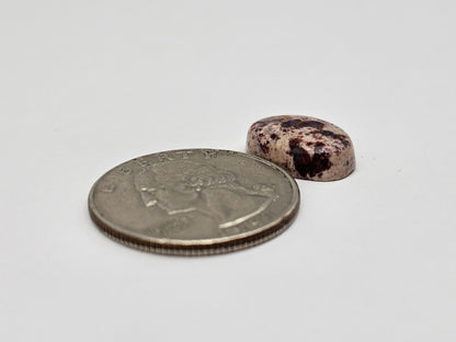 Mexican Cantera Opal Cabochon