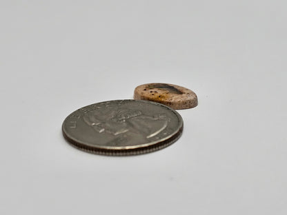 Mexican Cantera Opal Cabochon