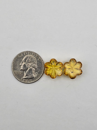 Amber authentic flower cabochon pair large