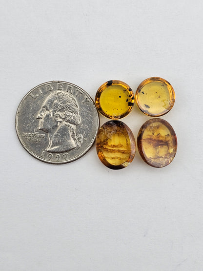 Amber authentic cabochon pair lot