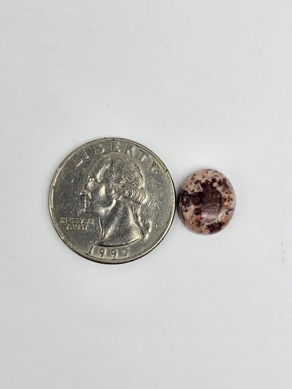 Mexican Cantera Opal Cabochon